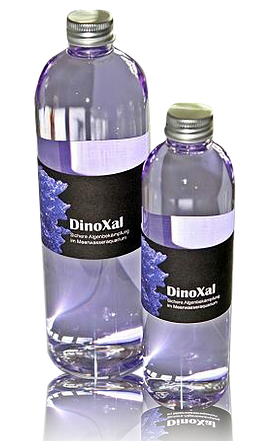 DinoXal 250 ml - Algenbekämpfungsmittel