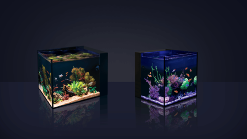 Aquarium cube de bureau Red Sea avec meuble bas