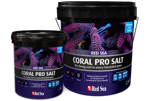 Red Sea Coral Pro Salz