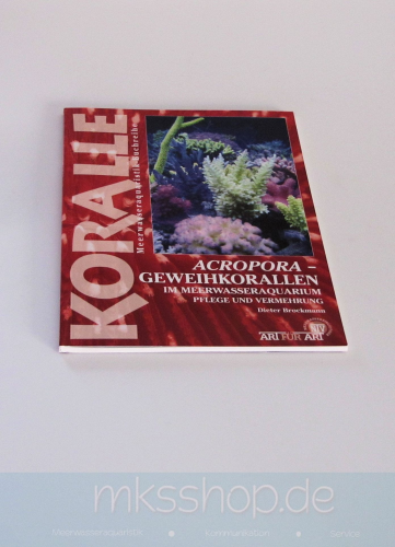 Acropora Geweihkorallen im Meerwasseraquarium,Pflege und Vermehrung