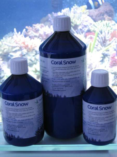 Coral Snow