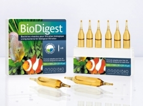 Prodibio BioDigest Pro 10x 10ml Ampullen
