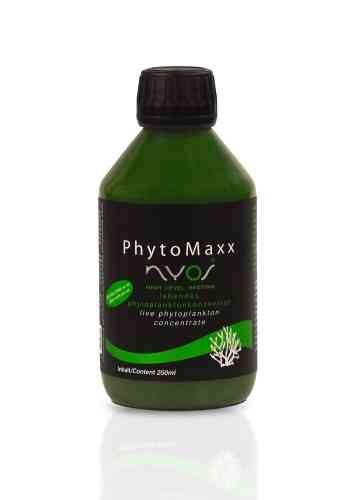 Nyos Phytomaxx Lebendes Phytoplanktonkonzentrat 250 ml