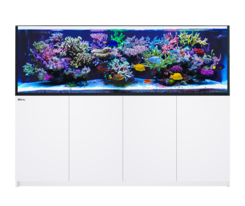 Red Sea REEFER 900 G2+