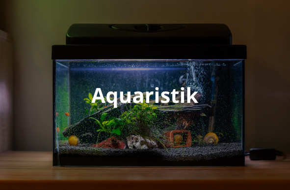 aquaristik